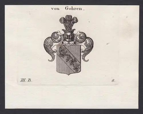 von Gohren - Gohren Wappen Adel coat of arms heraldry Heraldik Kupferstich copper engraving antique print