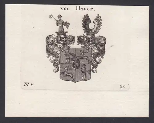 von Hauer -  Hauer Wappen Adel coat of arms heraldry Heraldik Kupferstich copper engraving antique print