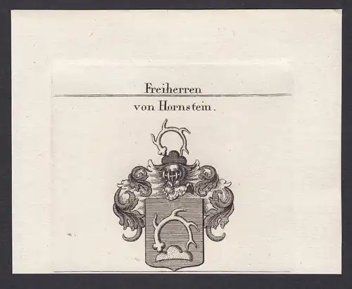von Hornstein - Hornstein Horenstain Hertenstein Wappen Adel coat of arms heraldry Heraldik Kupferstich copper