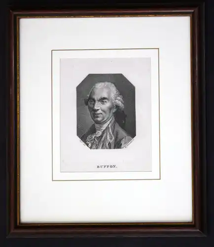 Buffon - Georges-Louis Leclerc de Buffon Naturforscher naturaliste naturalist Portrait Kupferstich copper engr