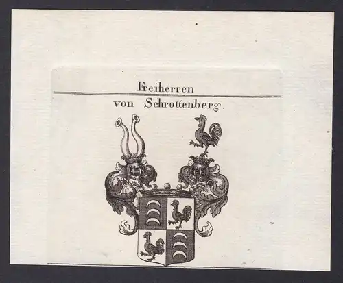 Freiherren von Schrottenberg - Schrottenberg Tirol Franken Wappen Adel coat of arms heraldry Heraldik Kupferst