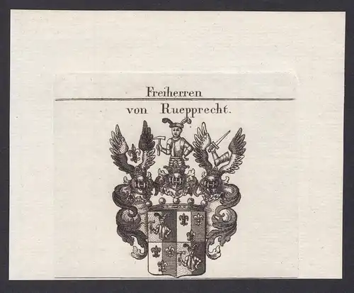 Freiherren von Ruepprecht - Ruepprecht Rüpprecht Wappen Adel coat of arms heraldry Heraldik Kupferstich antiqu