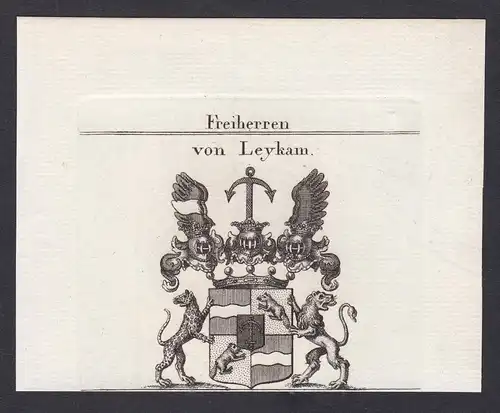 Freiherren von Leykam - Leykam Wappen Adel coat of arms heraldry Heraldik Kupferstich antique print