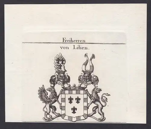 Freiherren von Lilien - Lilien Westfalen Wappen Adel coat of arms heraldry Heraldik Kupferstich antique print