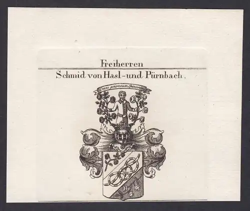 Freiherren Schmid von Hasl- und Pürnbach - Schmid Schmidt Haslbach Pürnbach Wappen Adel coat of arms heraldry