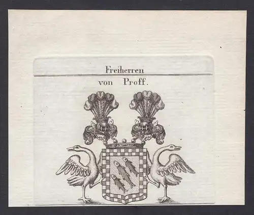 Freiherren von Proff - Proff Irnich Berg Wappen Adel coat of arms heraldry Heraldik Kupferstich antique print