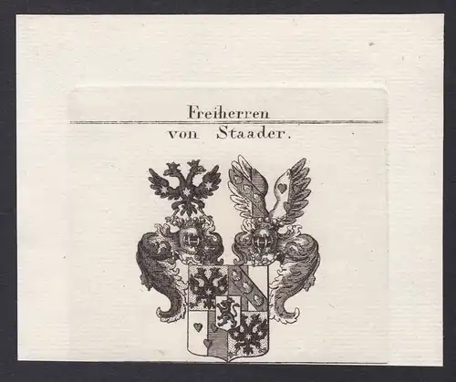 Freiherren von Staader - Staader Wappen Adel coat of arms heraldry Heraldik Kupferstich antique print