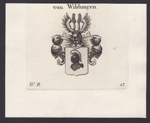 Von Wildungen - Wildungen Wappen Adel coat of arms heraldry Heraldik Kupferstich antique print