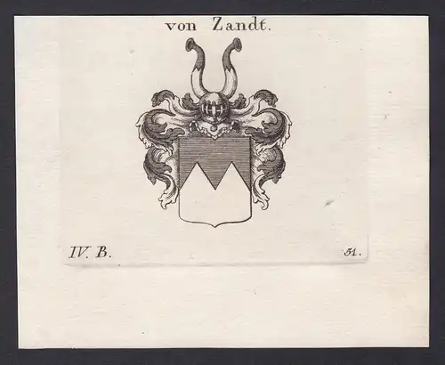 Von Zandt - Zandt Wappen Adel coat of arms heraldry Heraldik Kupferstich antique print