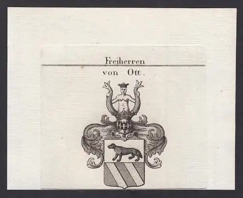 Freiherren von Ott - Ott Wappen Adel coat of arms heraldry Heraldik Kupferstich antique print