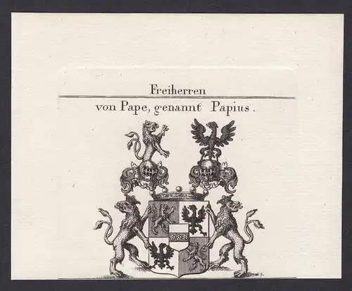 Freiherren von Pape, genannt Papius - Papius Papen Würzburg Wappen Adel coat of arms heraldry Heraldik Kupfers