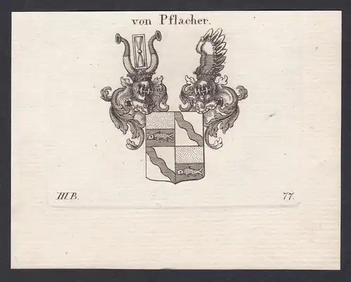 Von Pflacher - Pflacher Pflachern Wappen Adel coat of arms heraldry Heraldik Kupferstich antique print
