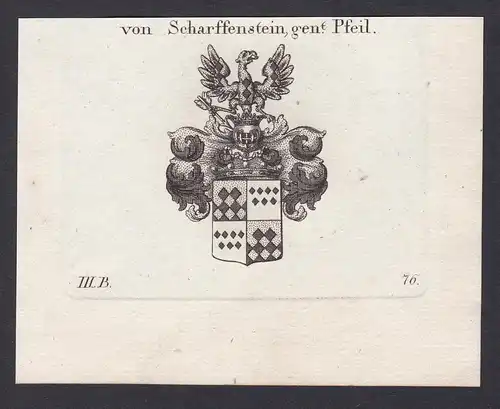 Von Scharffenstein, gent. Pfeil - Scharfenstein Wappen Adel coat of arms heraldry Heraldik Kupferstich antique