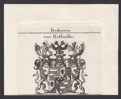 Freiherren von Hoffmilln - Hoffmilln Wappen Adel coat of arms heraldry Heraldik Kupferstich antique print