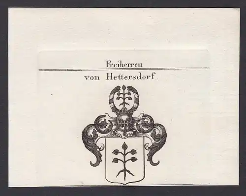 Freiherren von Hettersdorf - Hettersdorf Franken Wappen Adel coat of arms heraldry Heraldik Kupferstich antiqu