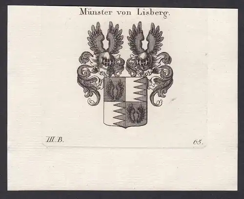 Münster von Lisberg - Münster Lisberg Franken Bamberg Wappen Adel coat of arms heraldry Heraldik Kupferstich a