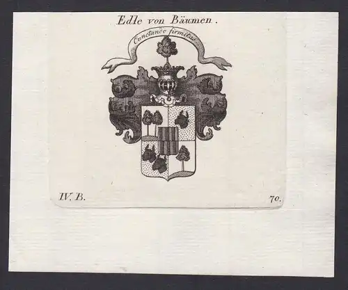 Edle von Bäumen - Bäumen Baeumen Wappen Adel coat of arms heraldry Heraldik Kupferstich antique print