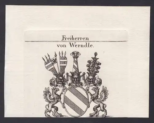 Freiherren von Werndle - Werndle Wappen Adel coat of arms heraldry Heraldik Kupferstich antique print