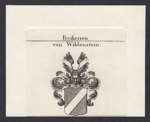 Freiherren von Wildenstein - Wildenstein Franken Wappen Adel coat of arms heraldry Heraldik Kupferstich antiqu