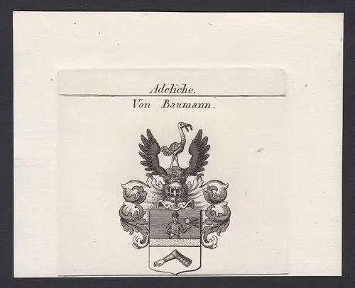 Von Baumann - Baumann Wappen Adel coat of arms heraldry Heraldik Kupferstich antique print