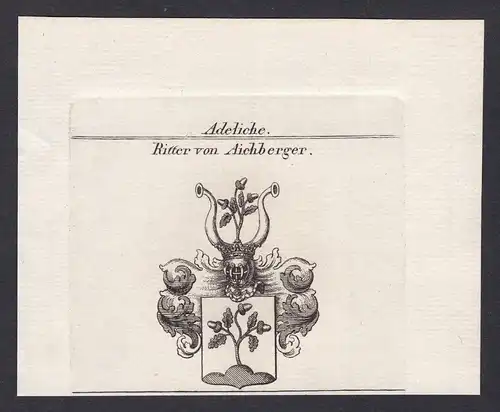 Ritter von Aichberger - Aichberger Wappen Adel coat of arms heraldry Heraldik Kupferstich antique print