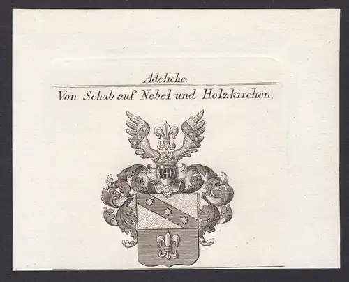 Von Schab auf Nebel und Holzkirchen - Schab Holzkirchen Nebel Bayern Wappen Adel coat of arms heraldry Heraldi