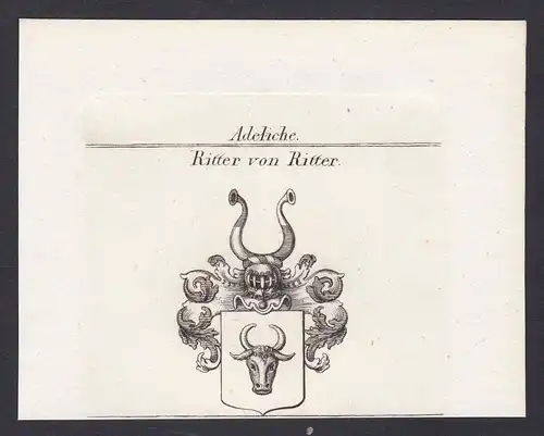 Ritter von Ritter - Ritter Wappen Adel coat of arms heraldry Heraldik Kupferstich antique print