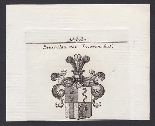 Bresselau von Bressensdorf - Bresselau Bressensdorf Wappen Adel coat of arms heraldry Heraldik Kupferstich ant