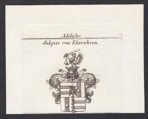 Salgari von Ehrenkron - Salgari Ehrencron Wappen Adel coat of arms heraldry Heraldik Kupferstich antique print