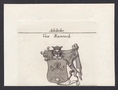 Von Ruoesch - Rüsch Ruesch Wappen Adel coat of arms heraldry Heraldik Kupferstich antique print