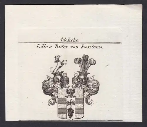 Edle u. Ritter von Bontems - Bontems Wappen Adel coat of arms heraldry Heraldik Kupferstich antique print