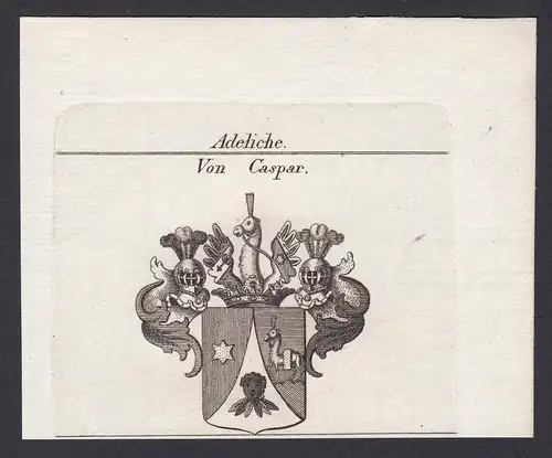 Von Caspar - Caspar Wappen Adel coat of arms heraldry Heraldik Kupferstich antique print