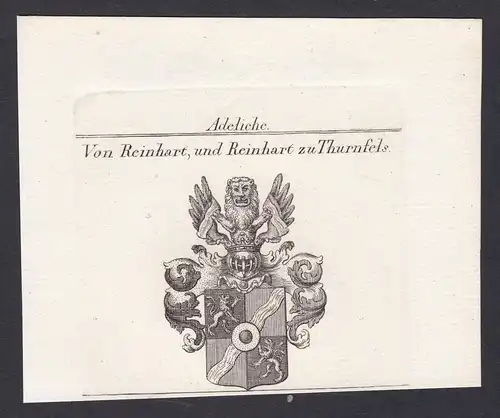 Von Reinhart, und Reinhart zu Thurnfels - Reinhart Thurnfels Wappen Adel coat of arms heraldry Heraldik Kupfer