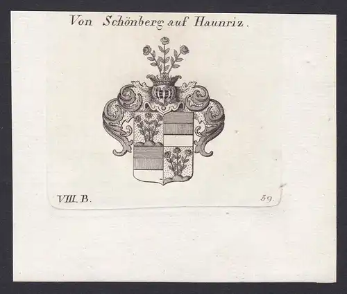 Von Schönberg auf Haunriz - Schönberg Haunritz Wappen Adel coat of arms heraldry Heraldik Kupferstich antique