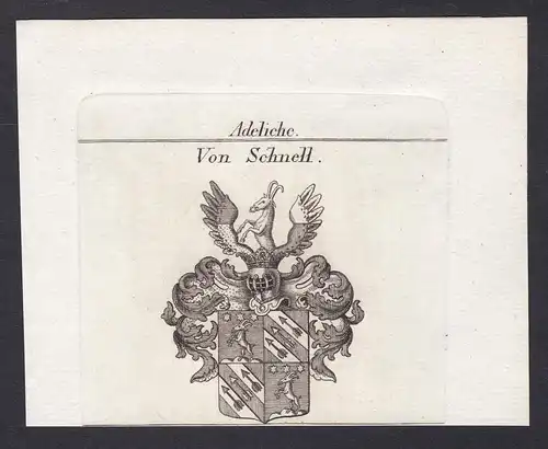 Von Schnell - Schnell Wappen Adel coat of arms heraldry Heraldik Kupferstich antique print
