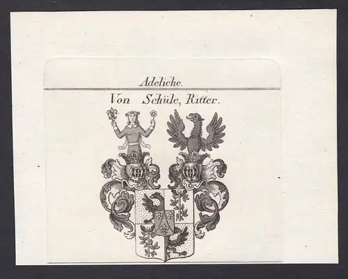 Von Schüle, Ritter - Schüle Schuele Wappen Adel coat of arms heraldry Heraldik Kupferstich antique print