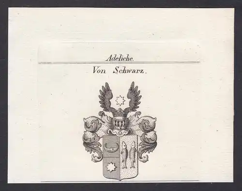 Von Schwarz - Schwarz Wappen Adel coat of arms heraldry Heraldik Kupferstich antique print