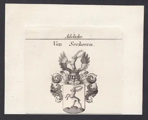 Von Sechsern - Sechsern Sechser Wappen Adel coat of arms heraldry Heraldik Kupferstich antique print