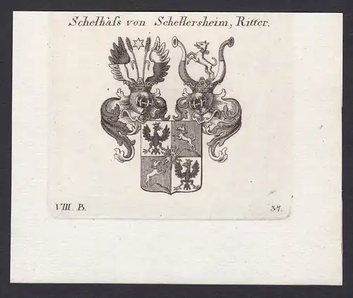 Schelhass von Schellersheim, Ritter - Schelhass Schellersheim Wappen Adel coat of arms heraldry Heraldik Kupfe