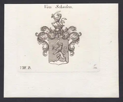 Von Schaden - Schaden Wappen Adel coat of arms heraldry Heraldik Kupferstich antique print