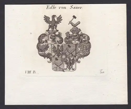 Edle von Sauer - Sauer Wappen Adel coat of arms heraldry Heraldik Kupferstich antique print