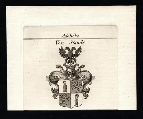 Von Staudt - Staudt Wappen Adel coat of arms heraldry Heraldik Kupferstich copper engraving antique print