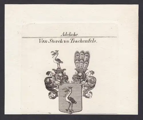 Von Storch zu Trachenfels - Storch Trachenfels Etting Wappen Adel coat of arms heraldry Heraldik Kupferstich a
