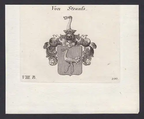 Von Strauss - Strauss Strauß Wappen Adel coat of arms heraldry Heraldik Kupferstich antique print