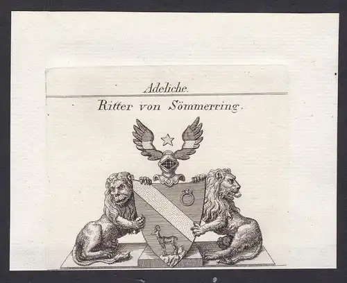 Ritter von Sömmerring - Sömmerring Soemmerring Wappen Adel coat of arms heraldry Heraldik Kupferstich antique