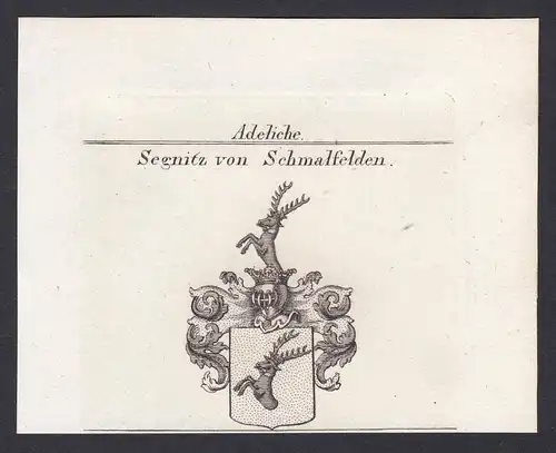 Segnitz von Schmalfelden - Segnitz Schmalfelden Wappen Adel coat of arms heraldry Heraldik Kupferstich antique