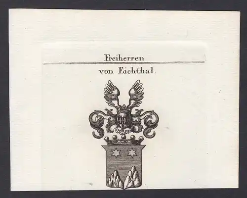 Freiherren von Eichthal - Eichthal Bayern Wappen Adel coat of arms heraldry Heraldik Kupferstich antique print