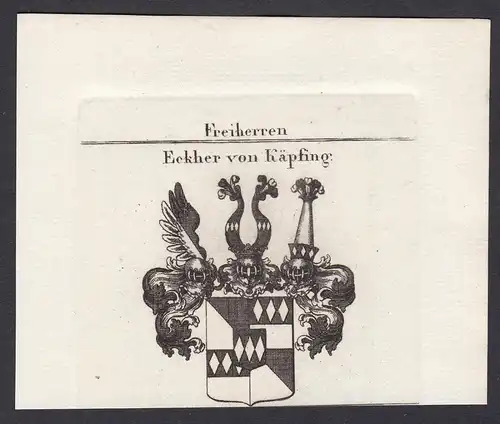 Freiherren Eckher von Käpfing - Eckher von Kapfing Bayern Wappen Adel coat of arms heraldry Heraldik Kupfersti