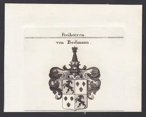 Freiherren von Bodmann - Bodman Bodmann Schwaben Wappen Adel coat of arms heraldry Heraldik Kupferstich antiqu