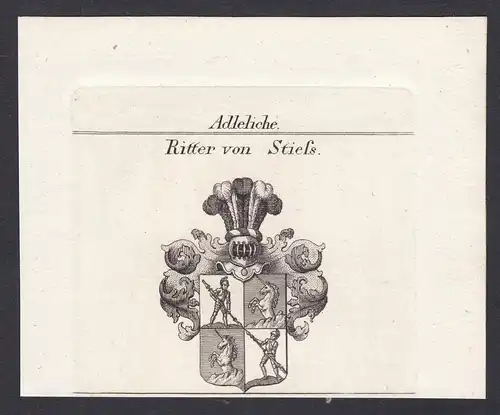 Ritter von Stiess - Stiess Stieß Wappen Adel coat of arms heraldry Heraldik Kupferstich antique print